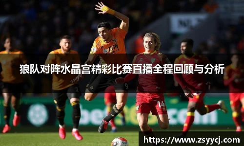 mk体育官方网站